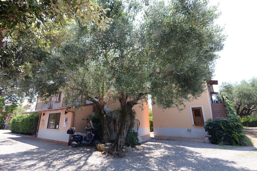 Residence Villa Andrea Marina di Camerota Exterior foto